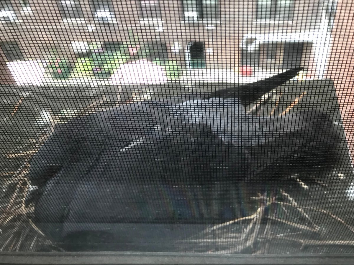 Sam Rubin tweet media