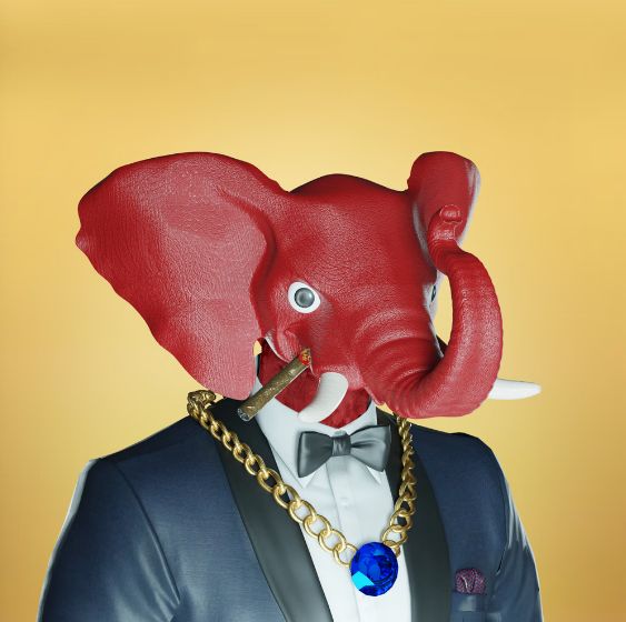roysynft's tweet photo. Exciting news coming soon! Follow us to stay up to date #roysynft #Community #RoyalSociety #LimitedEdition #EliteElephant https://t.co/7D3XHzKWWN