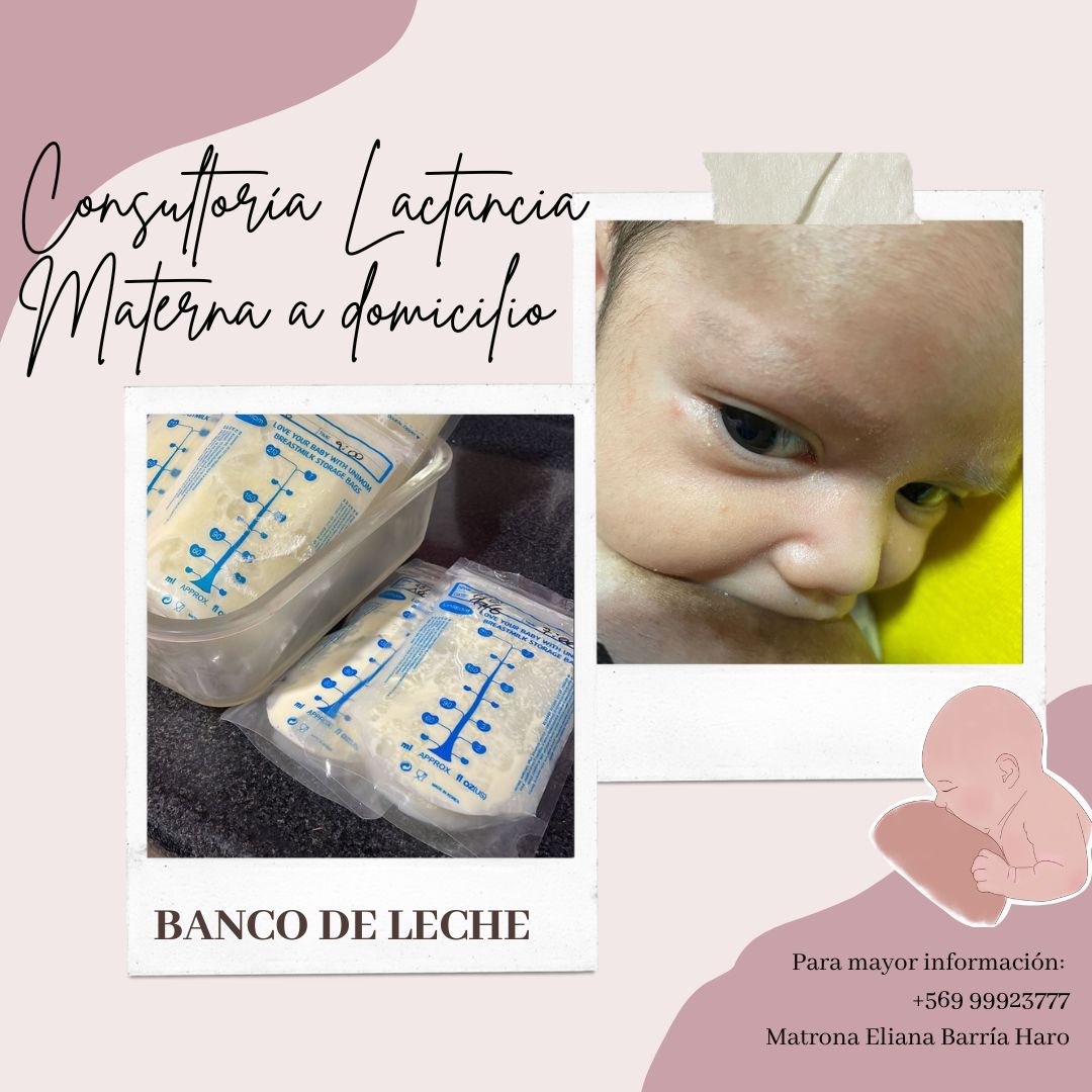 cf_rb1's tweet photo. Paso dato en #Coyhaique yo tomé asesoría domiciliaria en lactancia apenas nació mi bb y de verdad todo ha sido maravilloso con mi lactancia y maternidad, si conoce a alguna embarazada o mamá reciente, de corazón le recomiendo tomar estas asesorías 👍🏻 excelente profesional https://t.co/4eniaQc5Ue