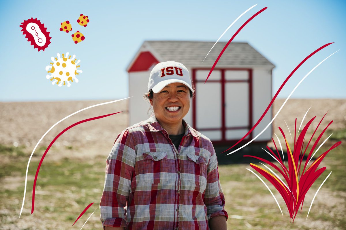 DOE Office of Science (@doescience) on Twitter photo A good support system helps us handle stress. For plants, that system is often in the form of the microbial community around them. Adina Howe <a href="/IowaStateU/">Iowa State University</a> is working with <a href="/CABBIbio/">CABBI</a> to research the connections between microbes in leaves and bioenergy crops: news.engineering.iastate.edu/2023/06/12/mic⦠A good support system helps us handle stress. For plants, that system is often in the form of the microbial community around them. Adina Howe <a href="/IowaStateU/">Iowa State University</a> is working with <a href="/CABBIbio/">CABBI</a> to research the connections between microbes in leaves and bioenergy crops: news.engineering.iastate.edu/2023/06/12/micā¦