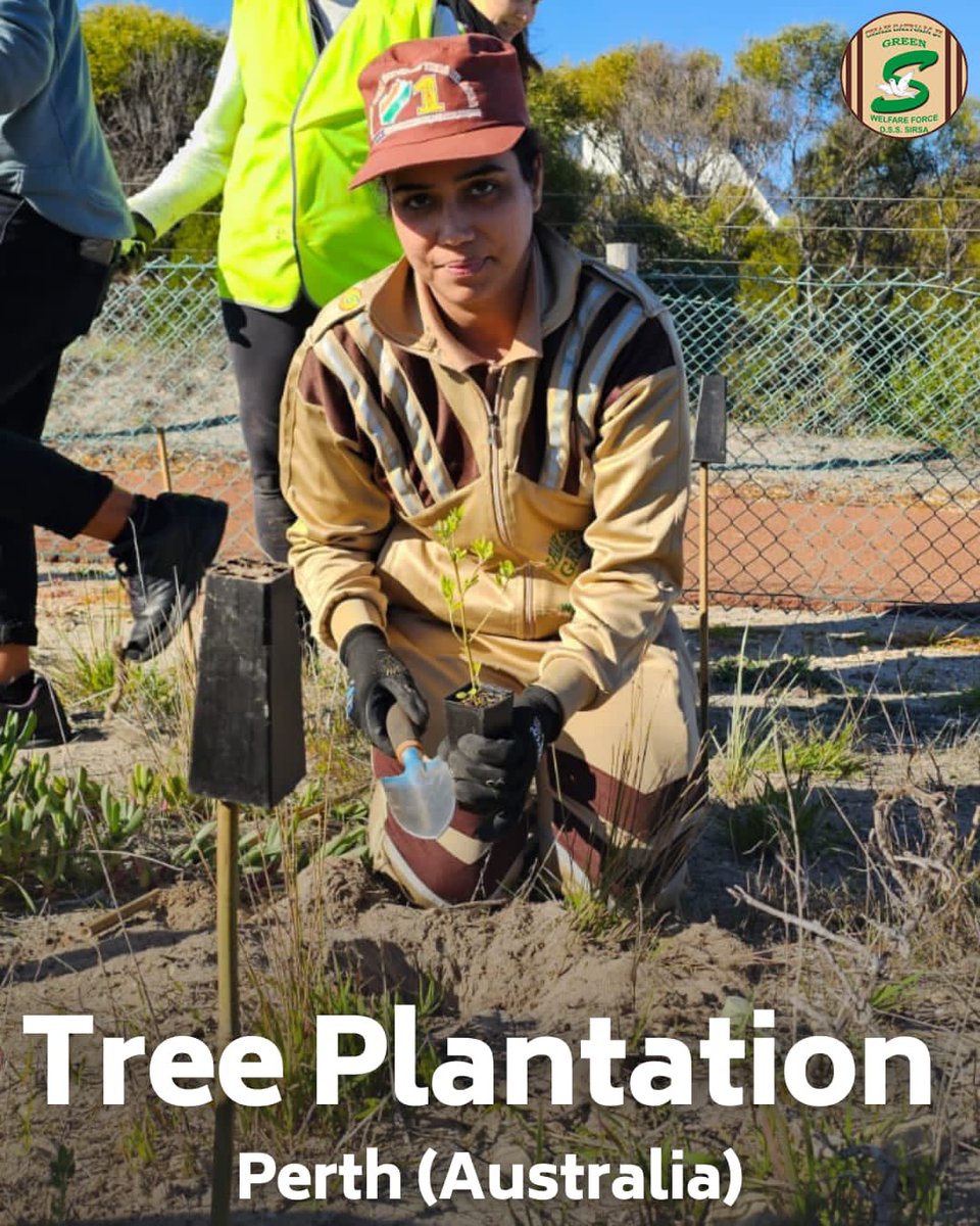 GreenSwelfares's tweet photo. Kudos to Shah Satnam Ji Green 'S' Welfare Force Wing volunteers in Perth, Australia have planted a whopping 3000 trees🌳  for a greener future! 🌱💚 Their dedication and commitment to the 🌍 environment is truly inspiring. Let's applaud their efforts in making our planet a better place for generations to come! #TreePlantation #PlantATree #DeraSachaSauda