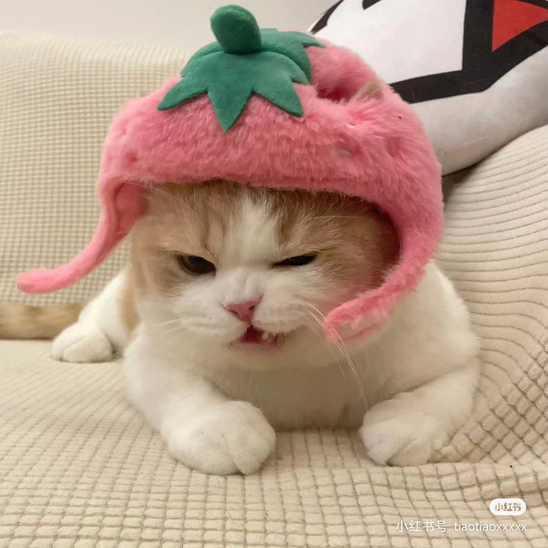 chaleenajaja's tweet photo. สตอเบอยี่🍓 https://t.co/GLNvzC0ix9