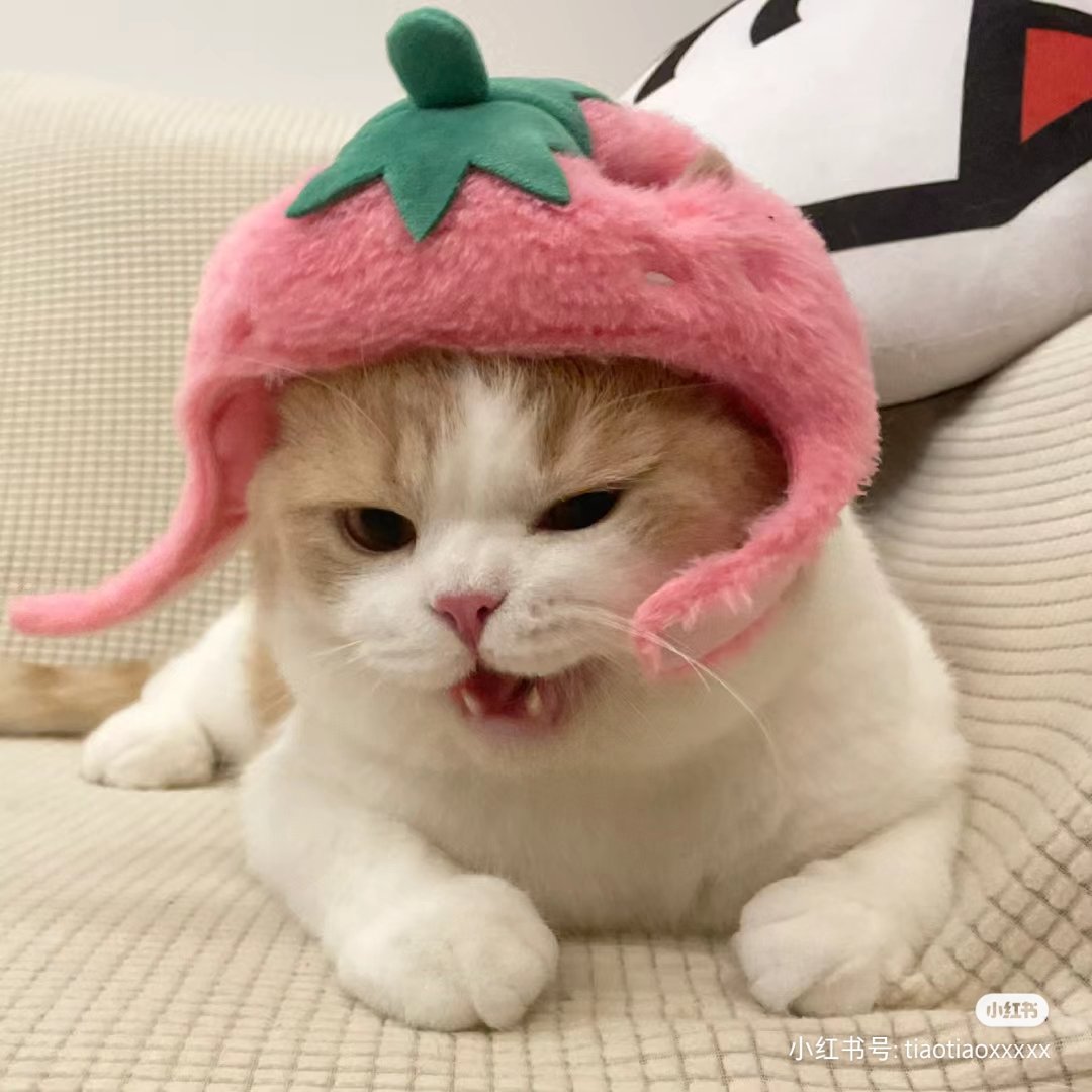chaleenajaja's tweet photo. สตอเบอยี่🍓 https://t.co/GLNvzC0ix9