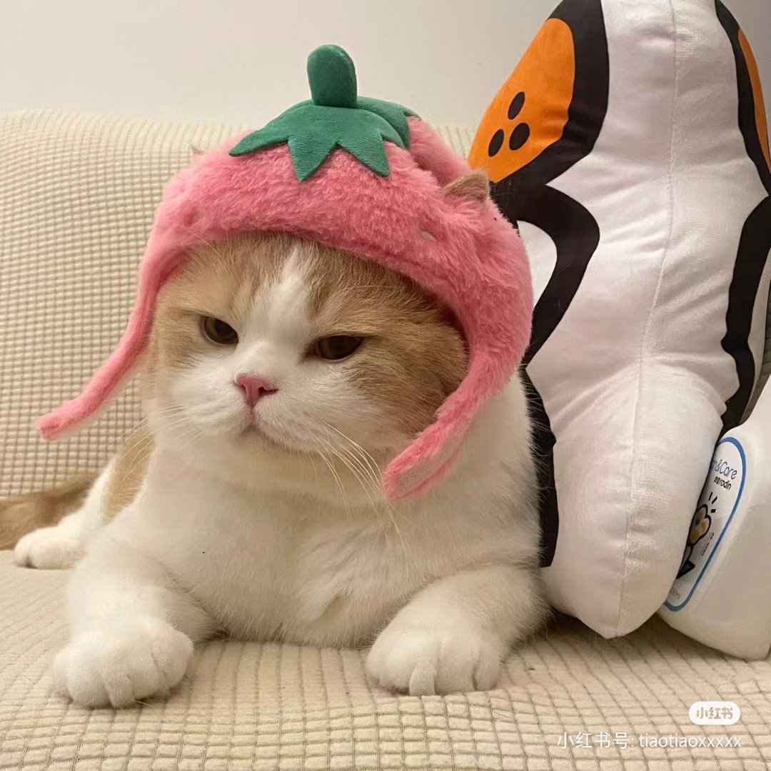 สตอเบอยี่🍓