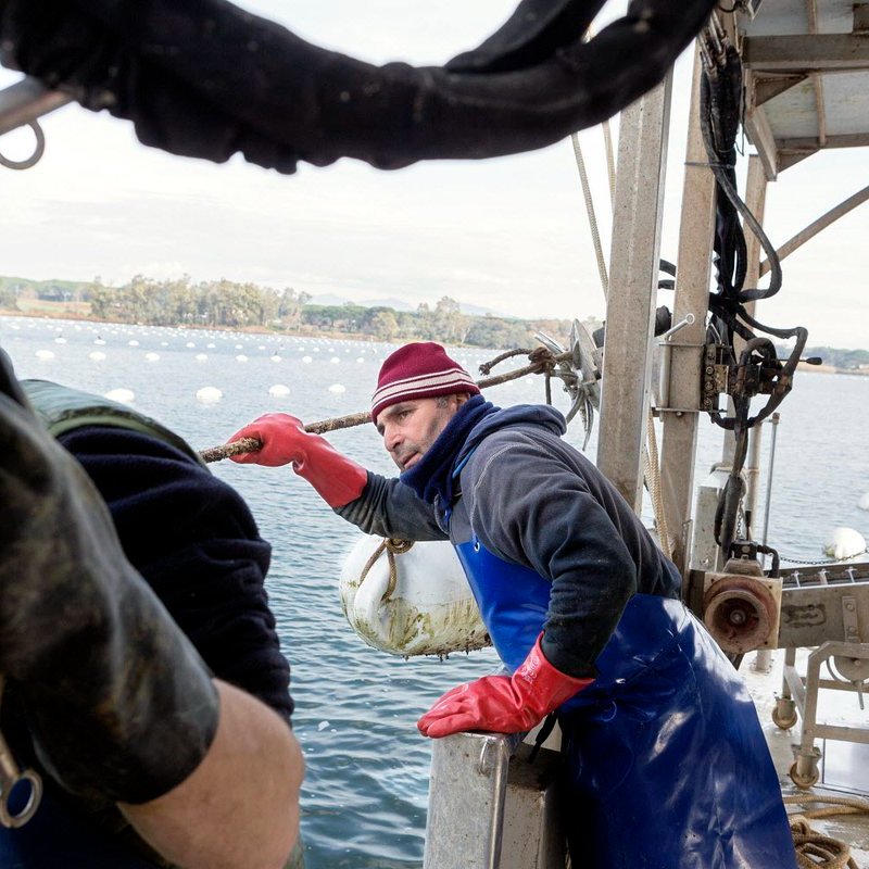 FAOfish's tweet image. Collaborating with governments &amp;amp; fishers, @FAO &amp;amp; the @UN_FAO_GFCM have helped replenish stocks and keep# #fisheries sustainable in the Mediterranean.

Proving that effective management is the best #biodiversity conservation tool❗️

Learn more 👉bit.ly/3tAfLSa

#UNFSS2023