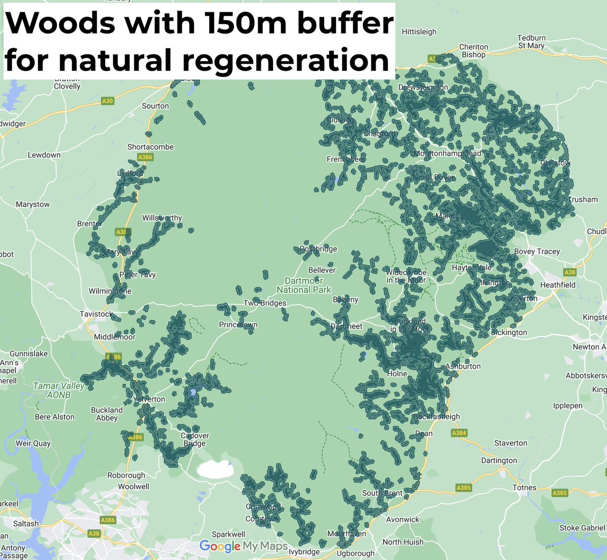 guyshrubsole's tweet image. Bring back Dartmoor's temperate rainforests!

I made a map showing existing broadleaved woodland within Dartmoor National Park, and what it would look like if we let these woods naturally regenerate &amp;amp; spread by 150m on all sides (also shows landowners):

google.com/maps/d/u/0/edi…