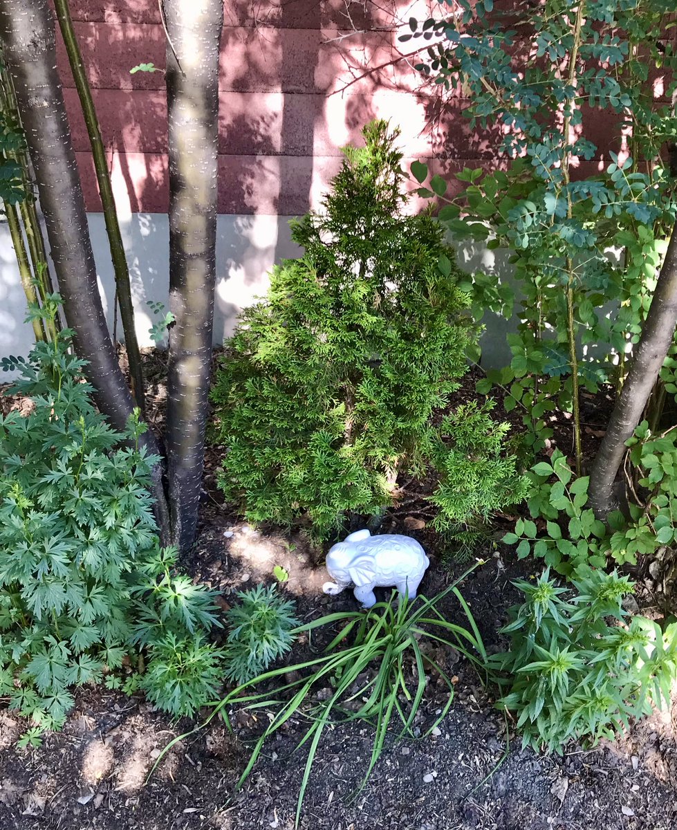 everydaytourist's tweet photo. It’s another beautiful day in Calgary to sit and appreciate our city. #GrandTrunkGarden #Calgary365 https://t.co/WcnEx90gf0