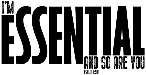 Jon Troyer tweet media