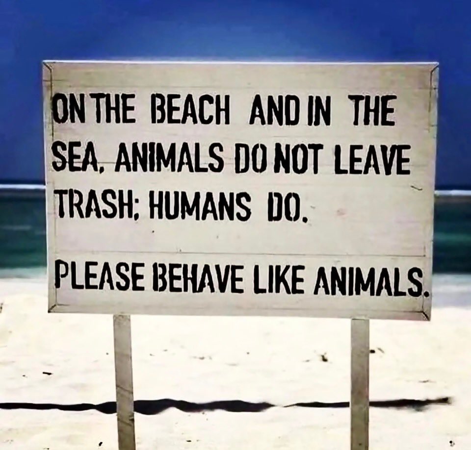 TWFFofficial (@twffofficial) on Twitter photo 