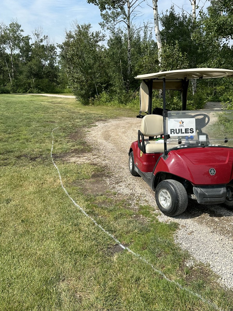 Cart paths are for carts.  Do you park your car at home with two wheels on your lawn?  If the drink cart happens to come by, they can drive around you.  Makes for less maintenance and less paint for me!