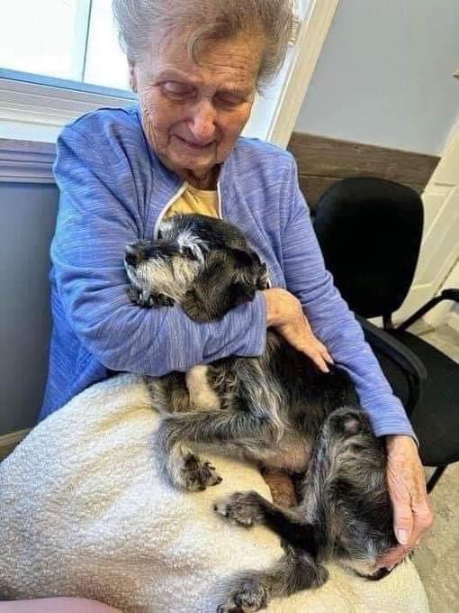 DogFamous24's tweet photo. My mom today, sending off her 21 year old boy, Roscoe 😢😢😢 #germandhepherd #germanshepherds #gsd #gsds #dog #dogs https://t.co/NVujETp8gI