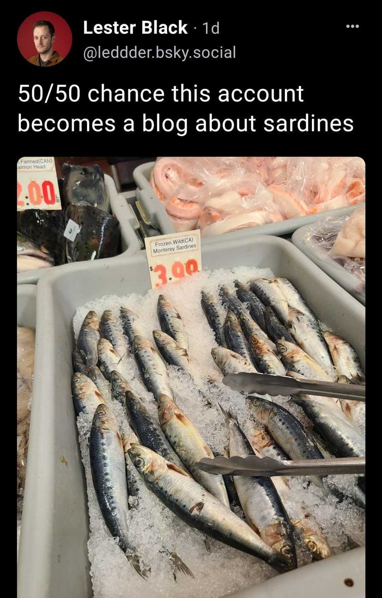 Lester Black tweet media