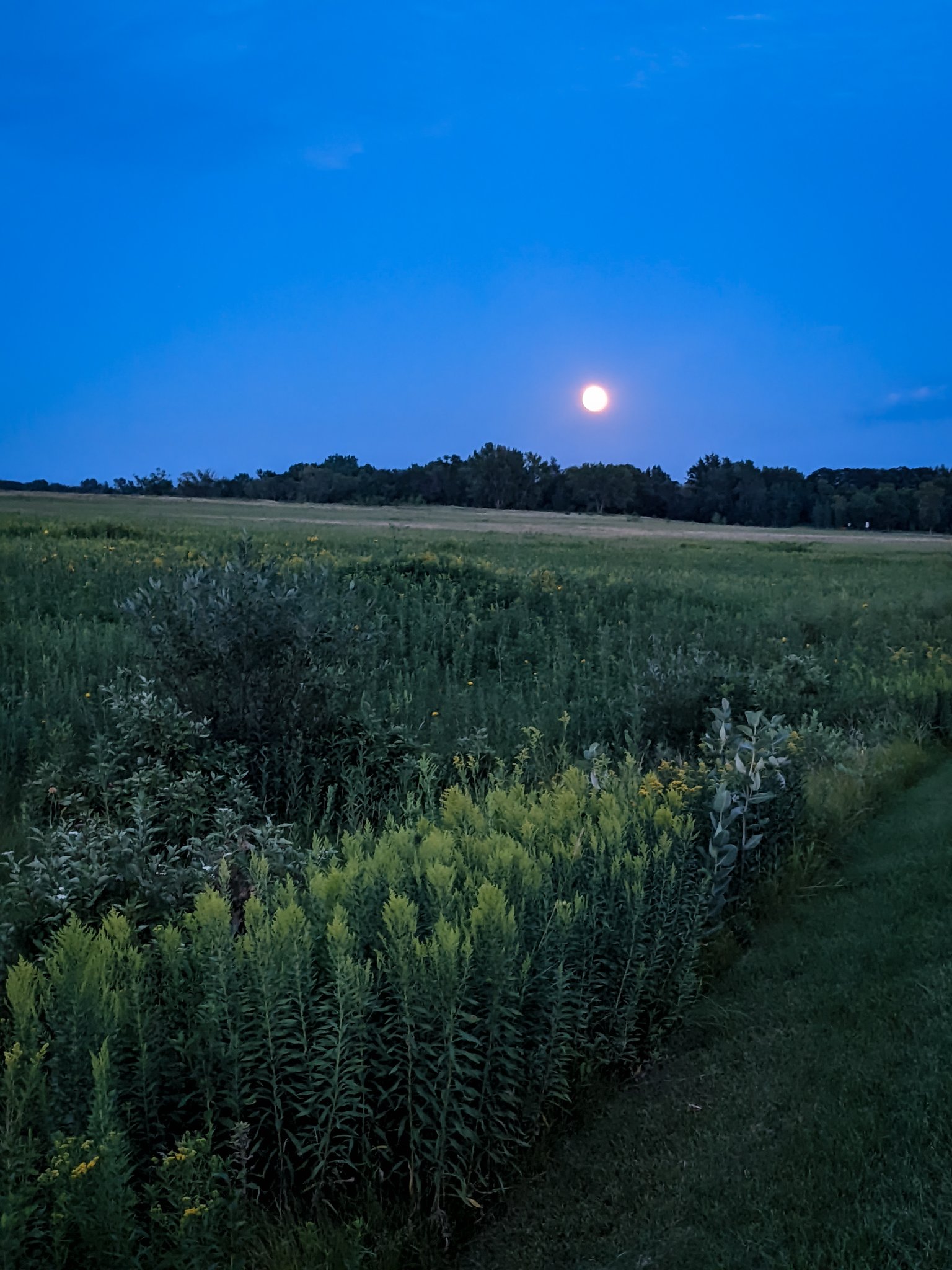 Minnesota State Parks and Trails on Twitter " 🌠🌕 SUPER MOON ALERT 🌕🌟🌌
