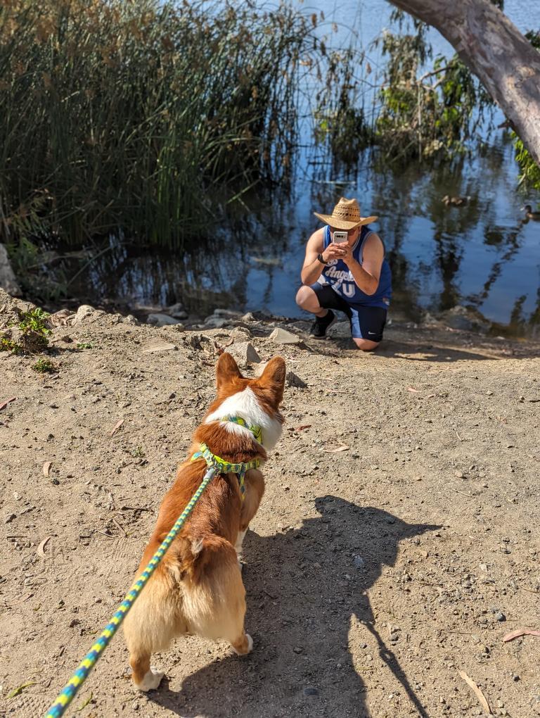 foldbygoogle's tweet image. Pixel Fold in the wild... literally @madebygoogle