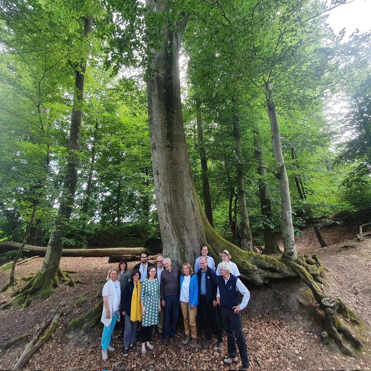 N_Schaeffer's tweet photo. Nationalparke Bayer. Wald &amp; Berchtesgaden beweisen: #Nationalpark|e sind Erfolgsgeschichten. (1) Schutz Biologische Vielfalt, (2) Referenz natürliche Waldentwicklung. Nur hier erfahren wir, welcher Wald bei uns in neuem Klima wächst. Danke @SteffiLemke für Besuch im #Steigerwald. https://t.co/Y6dlaBqslK