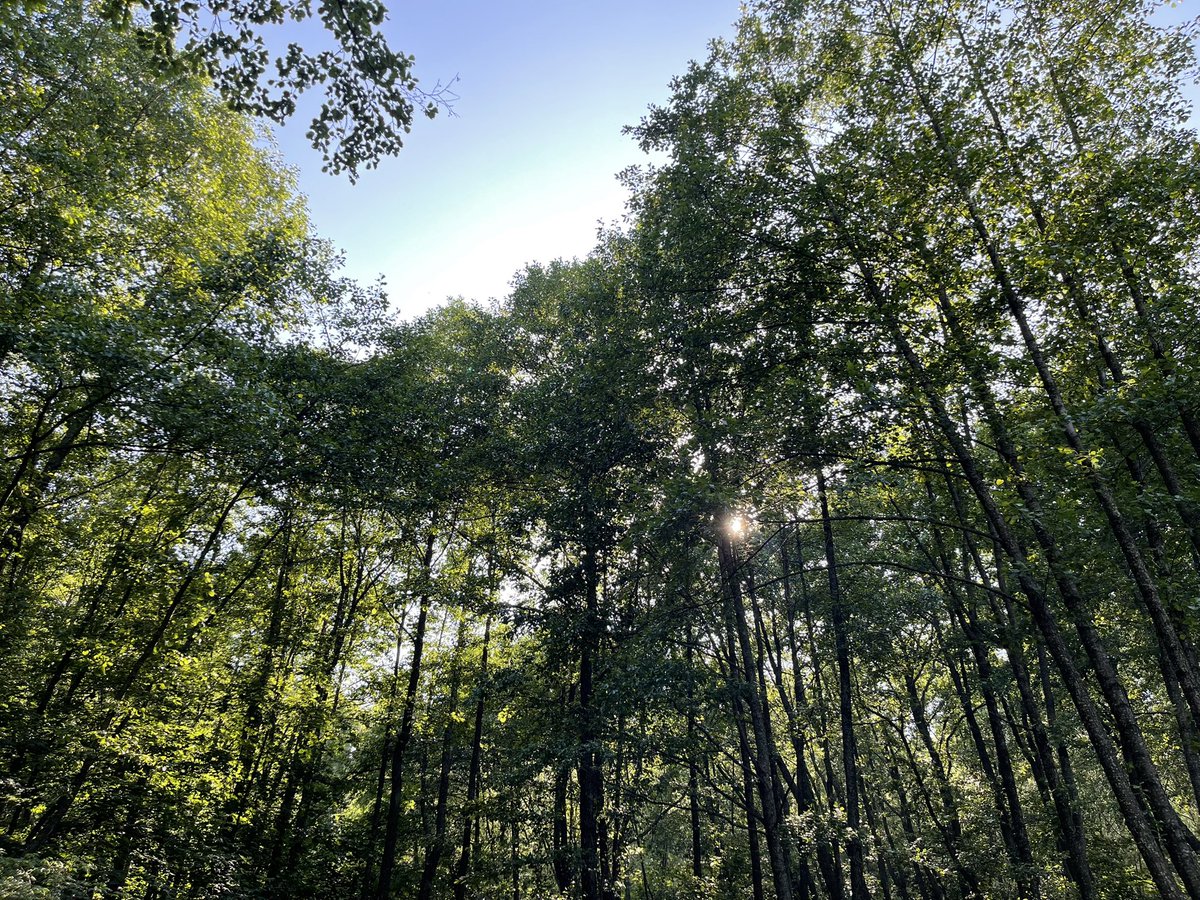 Dmitry Beschetny, CT tweet media