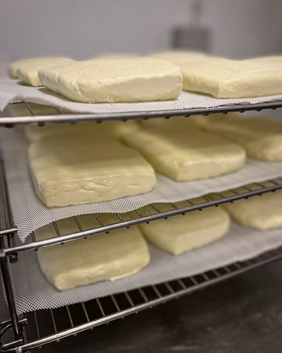 Our Hello Ewe fresh from being cooked in the hot whey.
All of Junes makes seemed to have been on some very hot days and boiling whey just added to the heat, rather glad July has started on a slightly cooler note.
#helloewe #halloumi #ewescheese #sheepcheese