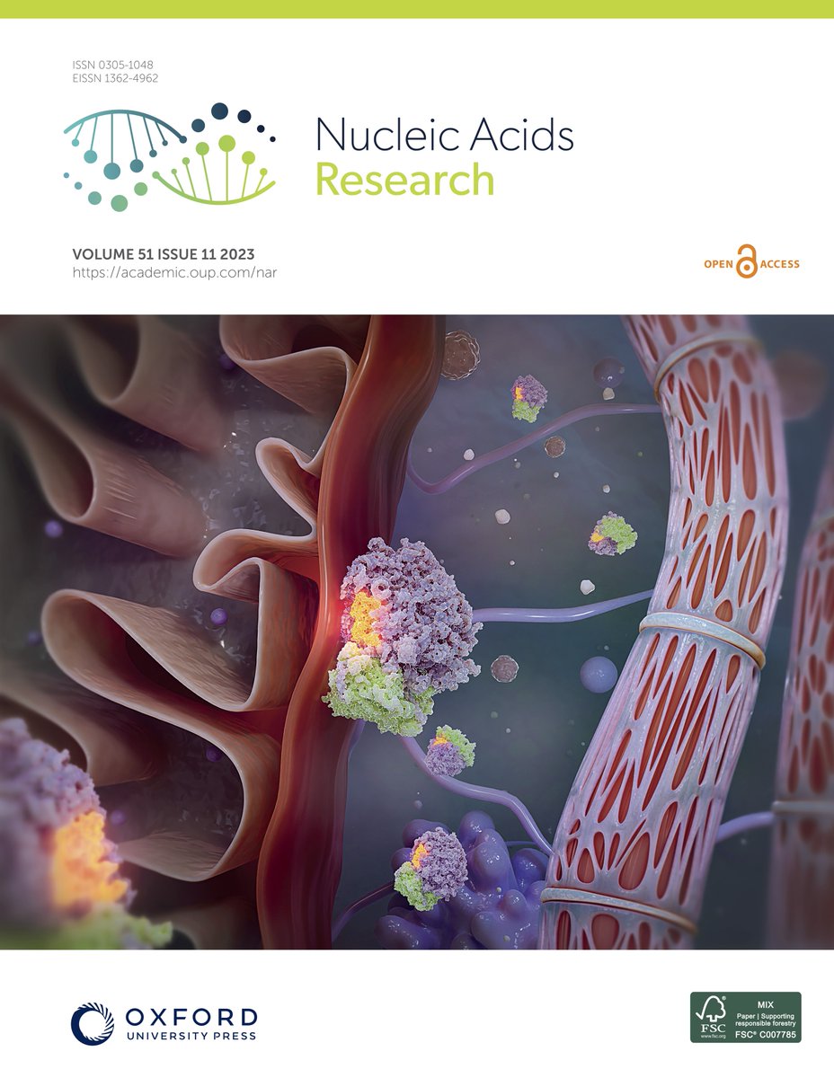 Novoa Lab (@novoalab) on Twitter photo The current issue of <a href="/NAR_Open/">Nucleic Acids Res</a> is featuring <a href="/hatahini/">Hassan A. Tahini</a>'s visualization of our results on ribosome-mitochondria interactions! Thank you very much for this awesome image Hassan! The current issue of <a href="/NAR_Open/">Nucleic Acids Res</a> is featuring <a href="/hatahini/">Hassan A. Tahini</a>'s visualization of our results on ribosome-mitochondria interactions! Thank you very much for this awesome image Hassan!