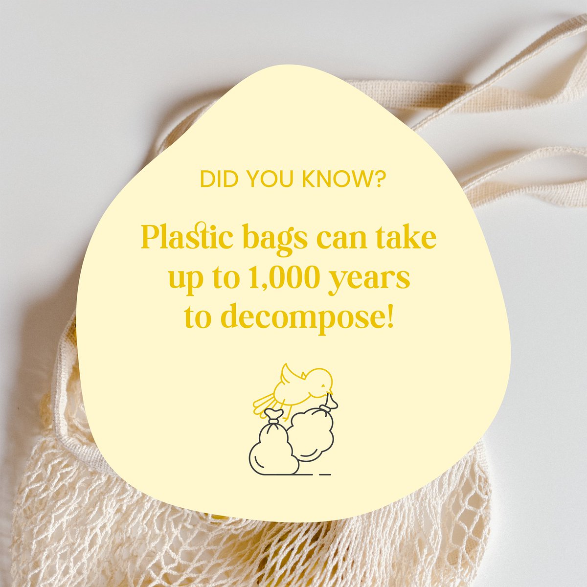 Did you know that plastic bags can take up to 1,000 years to decompose? Let's say no to single-use plastic bags and choose reusable options instead. 

Happy International Plastic Bag Free Day! 🌿🌎 

#plasticbagfreeday #saynotoplasticbags #reusableoptions #sustainableliving