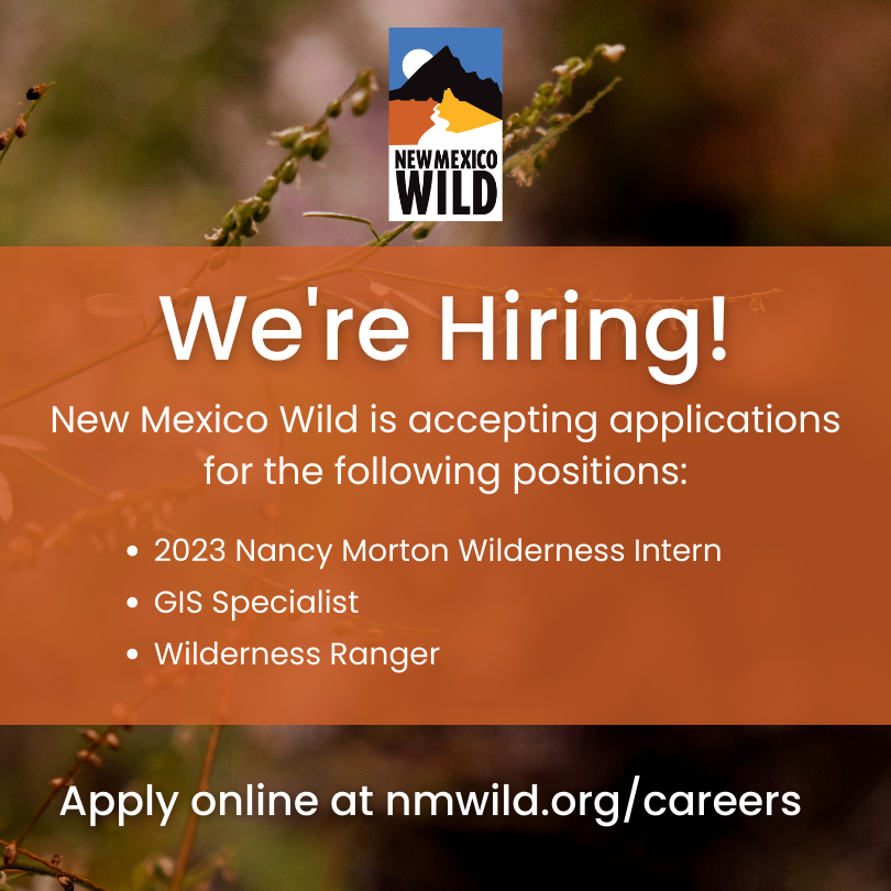 nmwild's tweet photo. We've got several open positions up on our website – take a look and share with anyone who might be interested in a career in grassroots conservation! View open positions and apply here: https://t.co/CeqLWFQz2k #nmwild #conservationjobs #gisjobs #hiringnm #nmjobs https://t.co/xToaAQRR8I