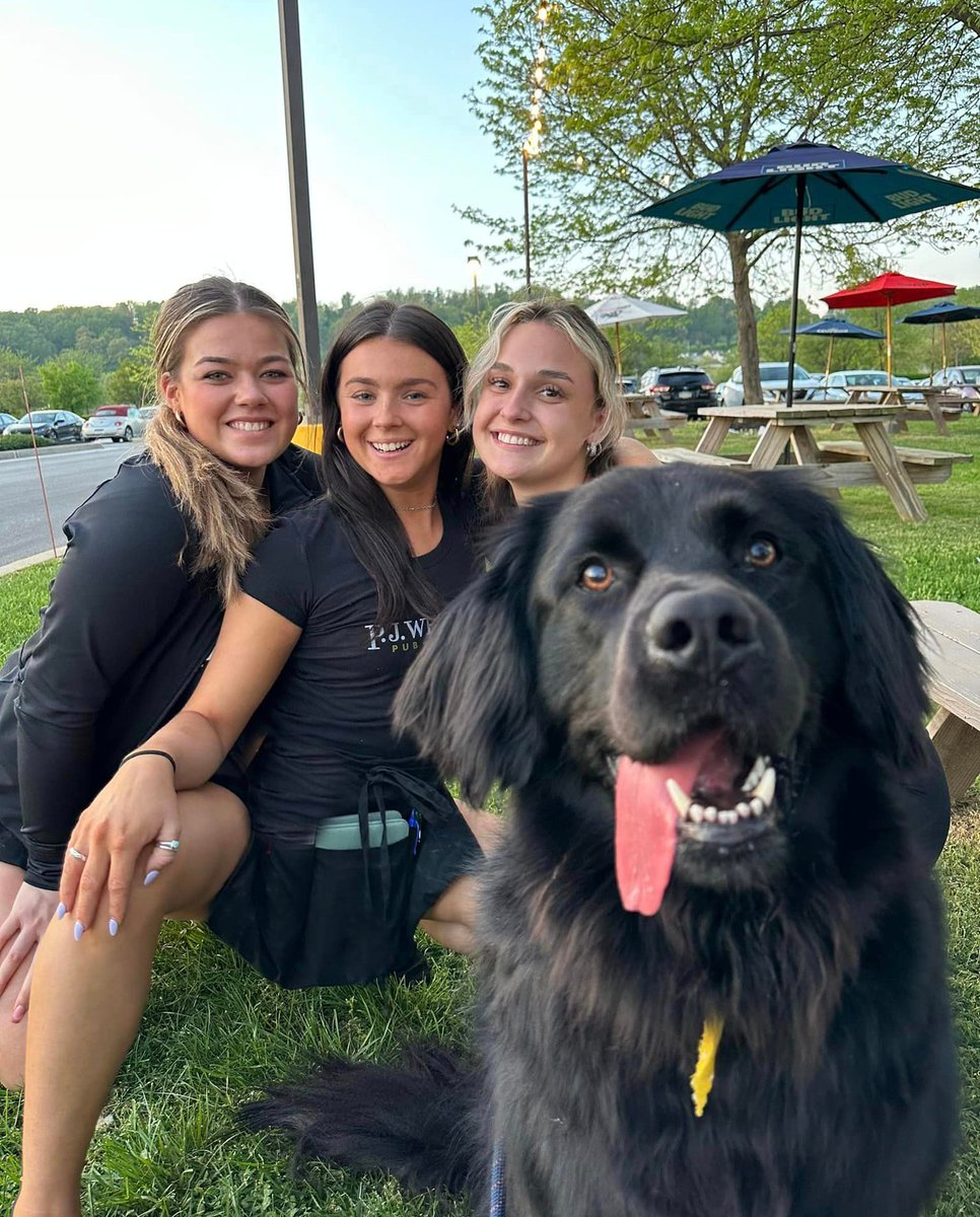 PJsPub's tweet image. "Out of office, having a blast at PJs Happy Hour 💼🌴" – now that's the kind of message you want to send!  Forget about work and join us for the ultimate pre-Independence Day celebration! 🎆