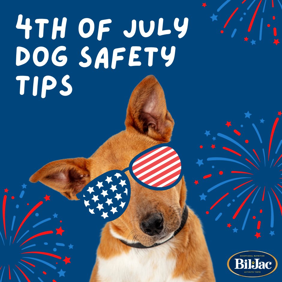 Hey, pawrents! As we gear up to celebrate Independence Day, it's important to remember that our four-legged friends might need some extra care during the festivities. Check out these safety tips to ensure a happy and safe 4th of July for all our furry friends.  ...
