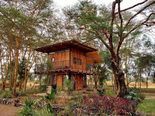 PerfectSafariz's tweet image. The love nest is a youthful and adventurous trees house with unique space surrounded by a grassy carpet. Perfect lovers or solo Nanyuki retreat

☎️0791045862

Busia Senator Okiya Omtatah Otile Brown #BlanketsandWine #FranceHasFallen Kikuyus CASs Londiani Japheth Nyakundi