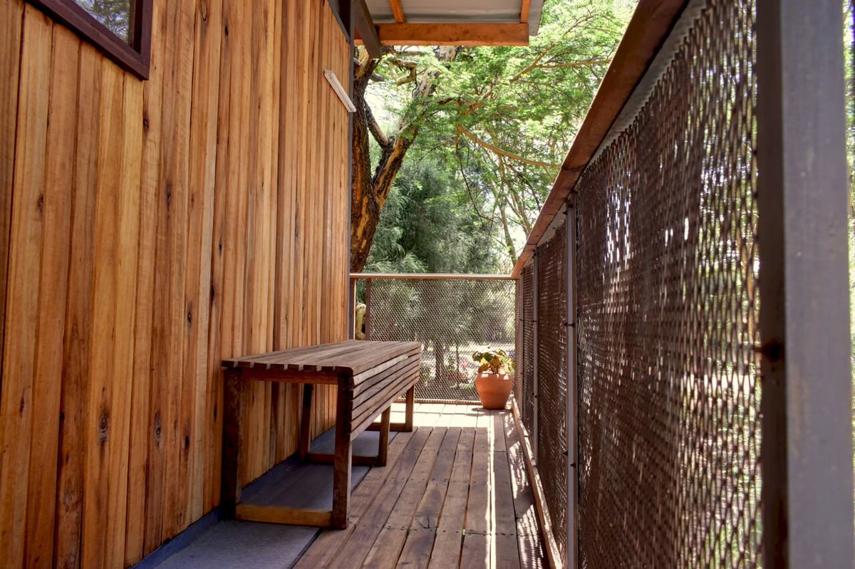 PerfectSafariz's tweet image. The love nest is a youthful and adventurous trees house with unique space surrounded by a grassy carpet. Perfect lovers or solo Nanyuki retreat

☎️0791045862

Busia Senator Okiya Omtatah Otile Brown #BlanketsandWine #FranceHasFallen Kikuyus CASs Londiani Japheth Nyakundi