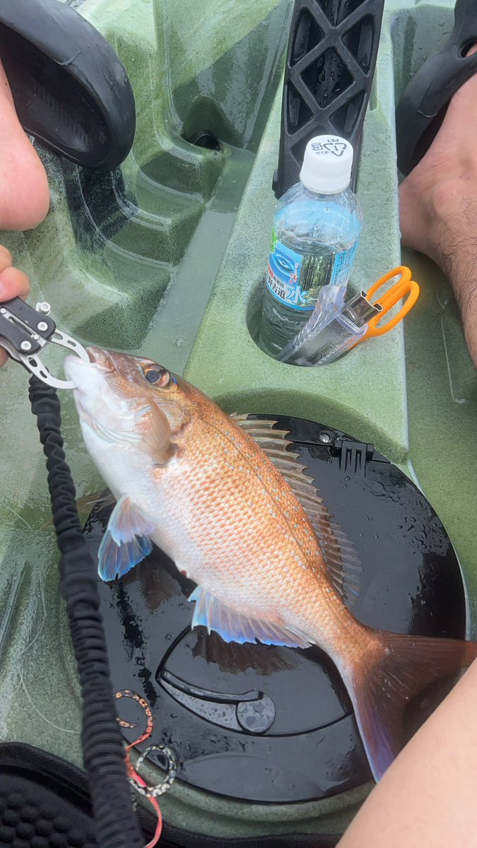 カヤックデビュー😍