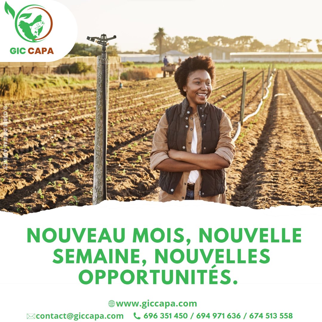 GicCapa's tweet photo. 👌 𝗡𝗼𝘂𝘃𝗲𝗮𝘂 𝗺𝗼𝗶𝘀, 𝗻𝗼𝘂𝘃𝗲𝗹𝗹𝗲 𝘀𝗲𝗺𝗮𝗶𝗻𝗲, 𝗻𝗼𝘂𝘃𝗲𝗹𝗹𝗲𝘀 𝗼𝗽𝗽𝗼𝗿𝘁𝘂𝗻𝗶𝘁𝗲́𝘀. 💪
Bon début de semaine et bon début de mois à nos chers agriculteurs.
#juillet #opportunité #poivre #silure #carpe #bio #yaoundé #ayos #giccapa https://t.co/JWlOEudU46