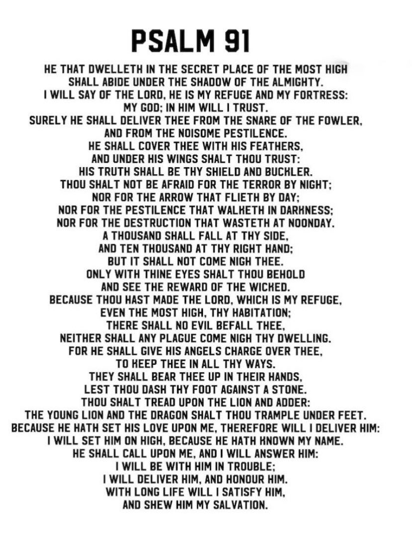 Lilith 🦉INFJ-A tweet media