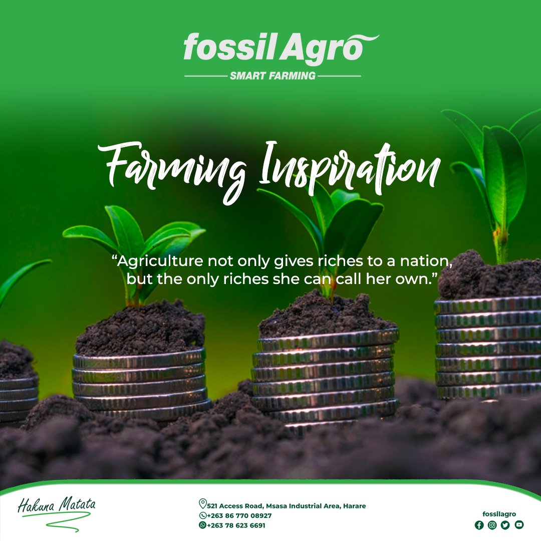 Creating Wealth for Generations, Farmers have been our Greatest Asset!!!

Happy Monday! 

#FossilAgro #SmartFarming #HakunaMatata #HappyMonday #WealthCreators