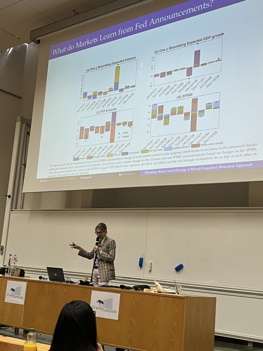 Sydney Ludvigson deliverying her plenary talk at <a href="/cef2023/">cef2023</a>. Curious to learn what markets learn from FED announcements?