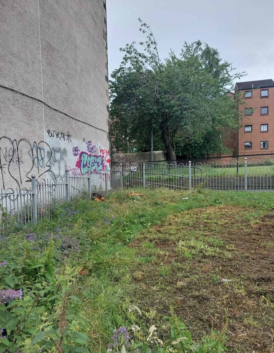 White Park Gorgie tweet media