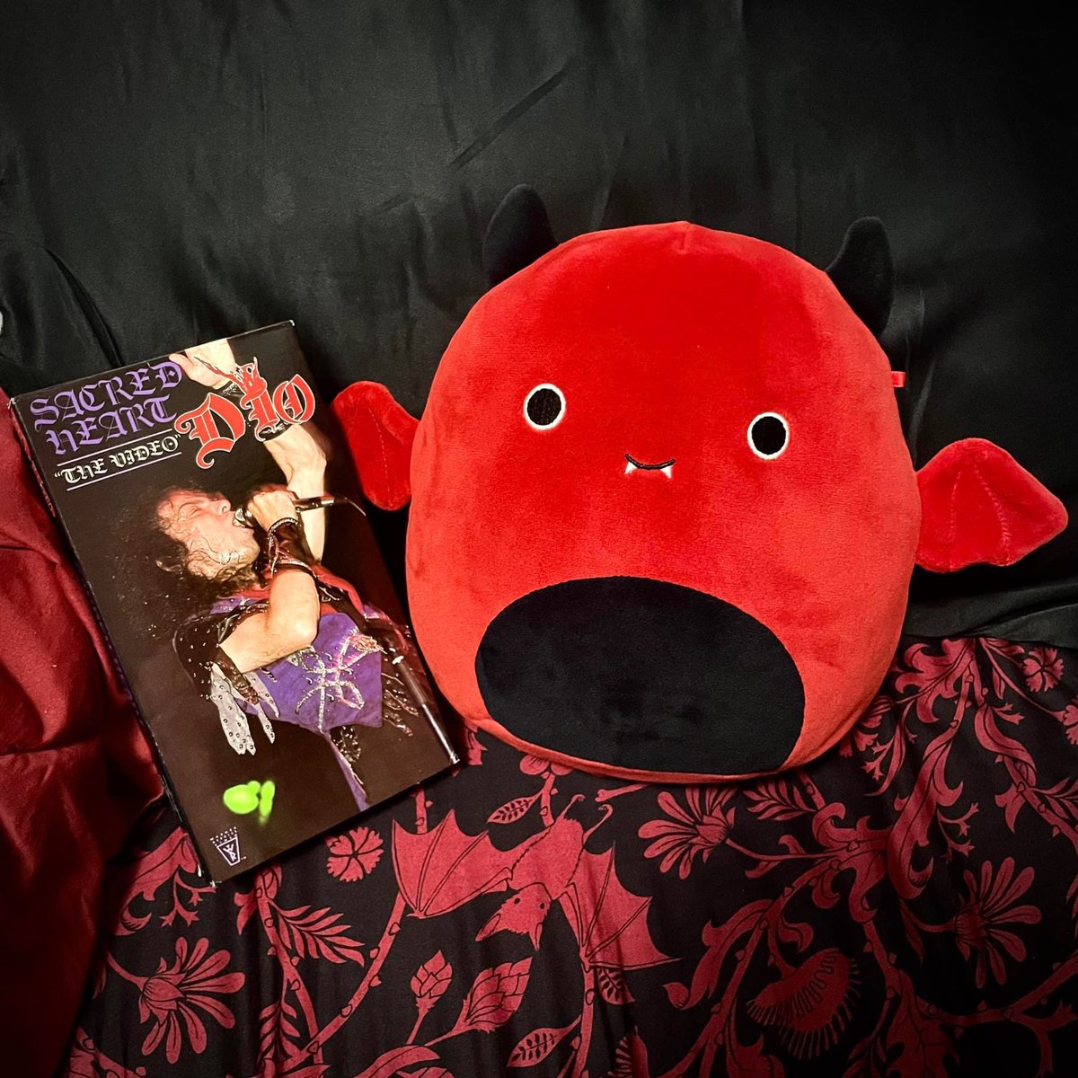 SqueeshMallows's tweet photo. Who’s gonna watch Dio live on VHS with Dante? https://t.co/LrfIC5tyCX