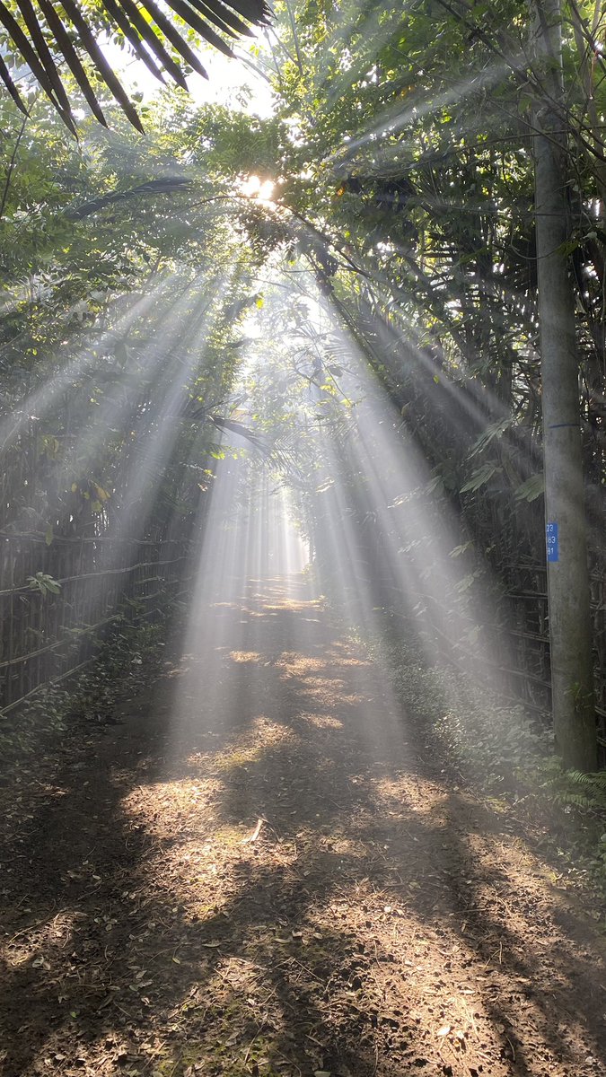 GM, it’s been a while! Loving catching up with all your art! 
Moments like these… #nftphotography