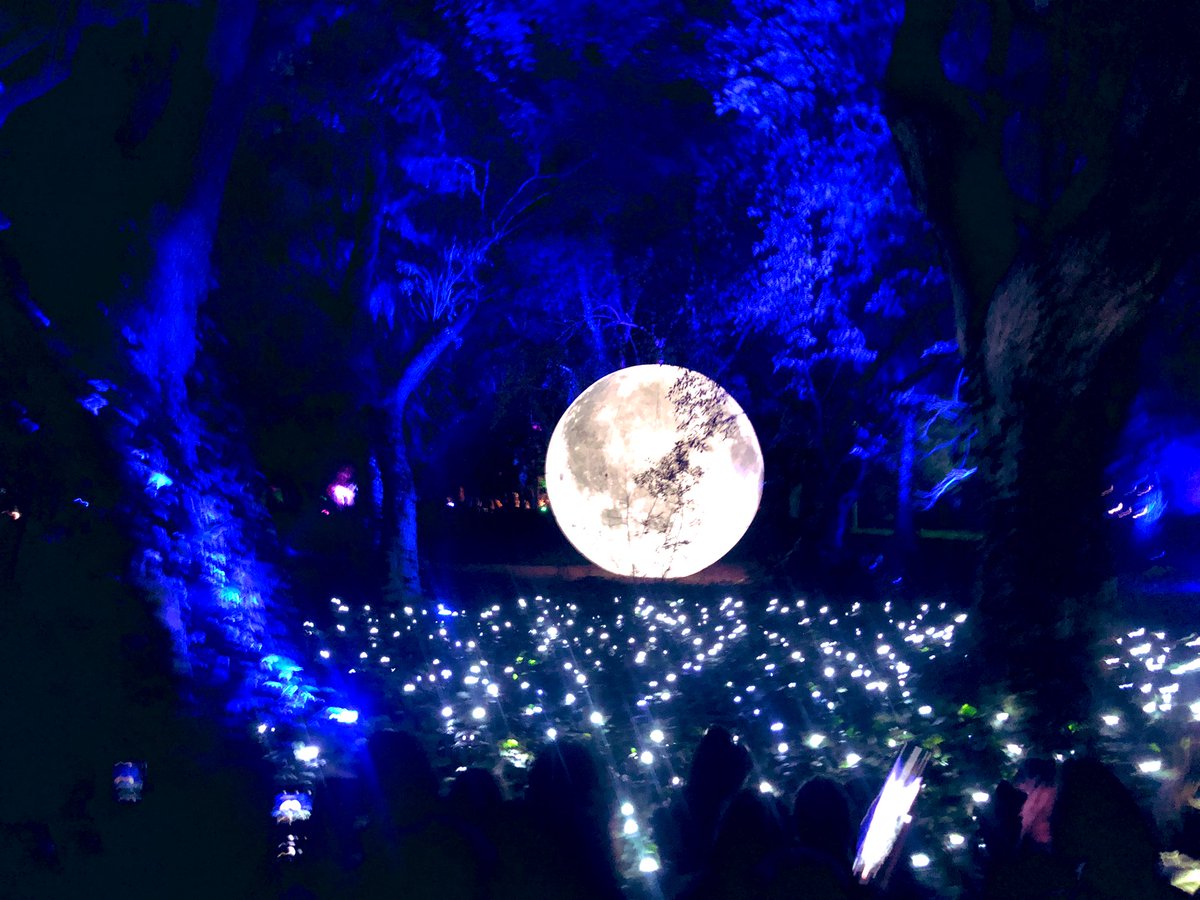 Neuroblues tweet media