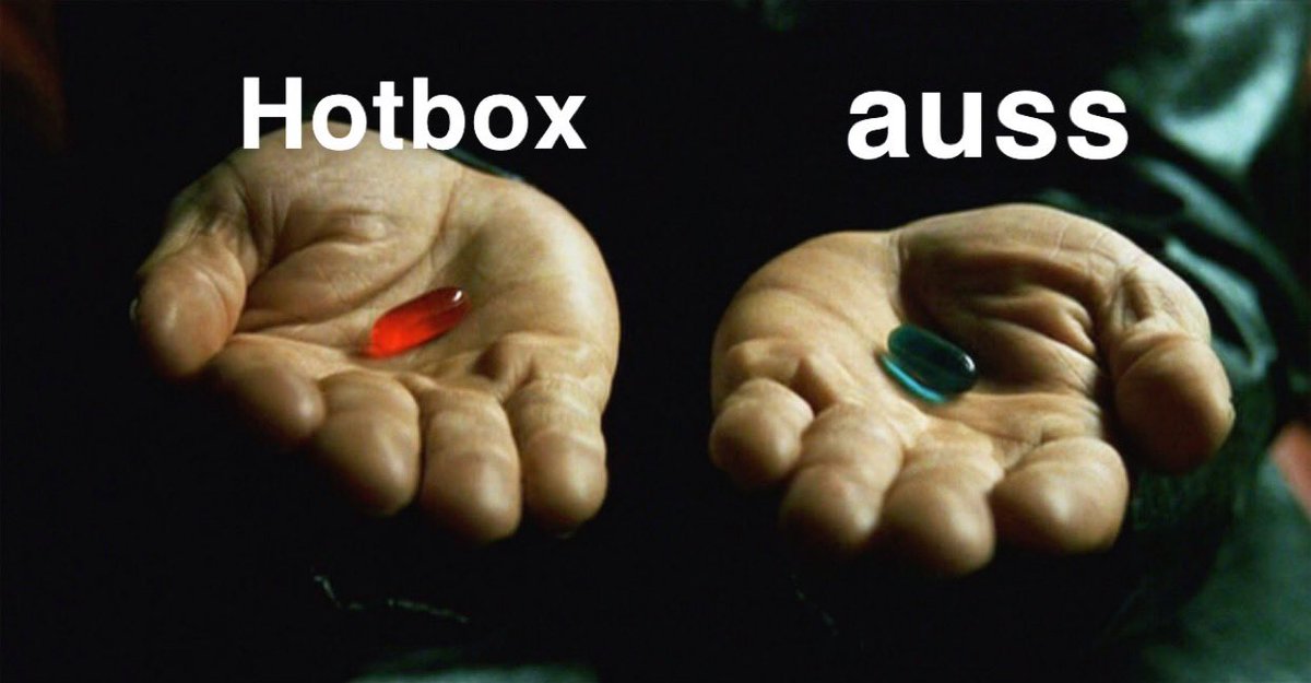 atspere's tweet photo. gertrudes 59 be like #freehotbox https://t.co/adUk1kqXjR