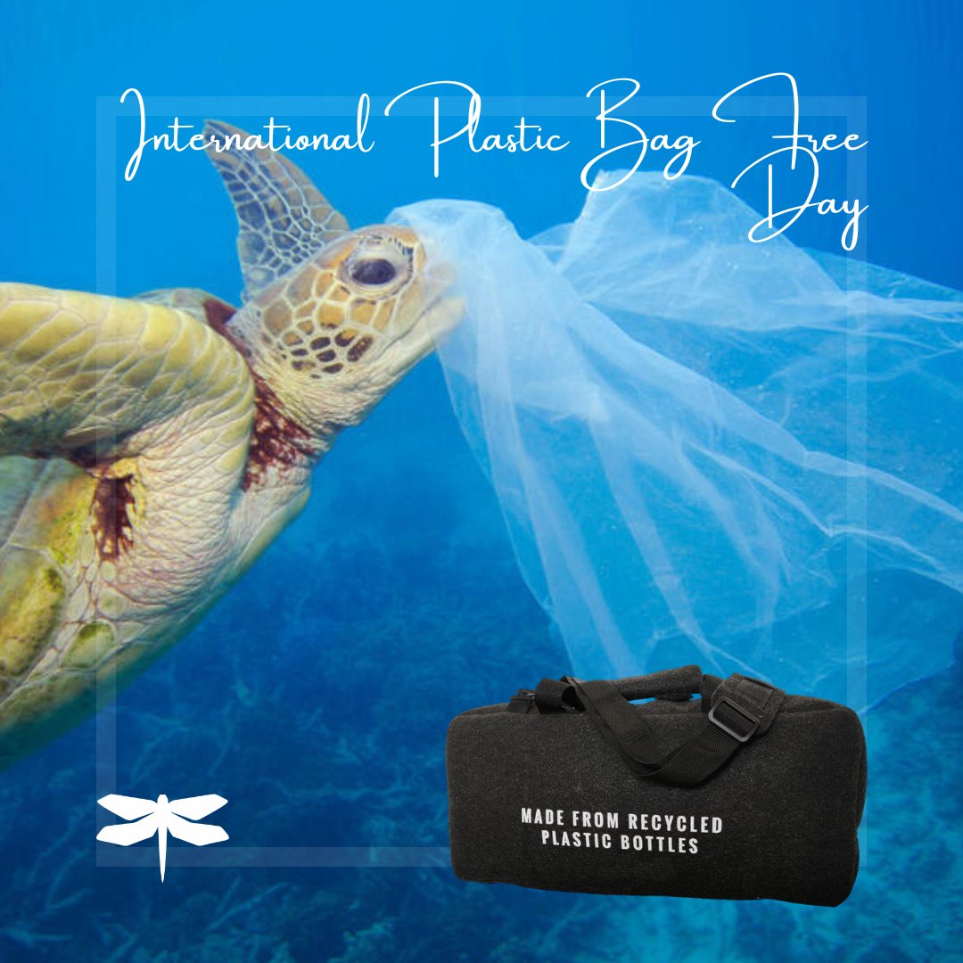 Dragonfly Tri tweet media