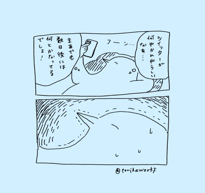 Twitter依存のとりです。こんばんは。 