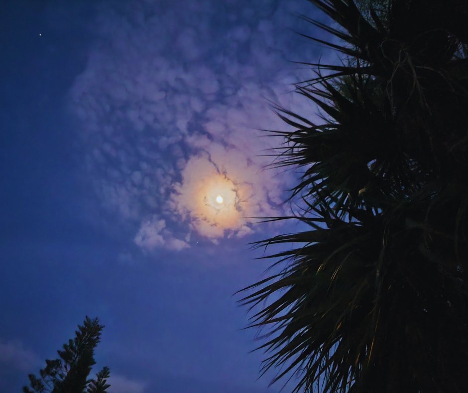 DaveCenker's tweet photo. The moon was up, painting the world silver, making things look just a little more alive. ~N.D. Wilson
#lookup #findyourlight #welive #under #thesamesky #connect #discovermagic #fullmoon #floridalife #mondaymotivation https://t.co/kawYohiLqI