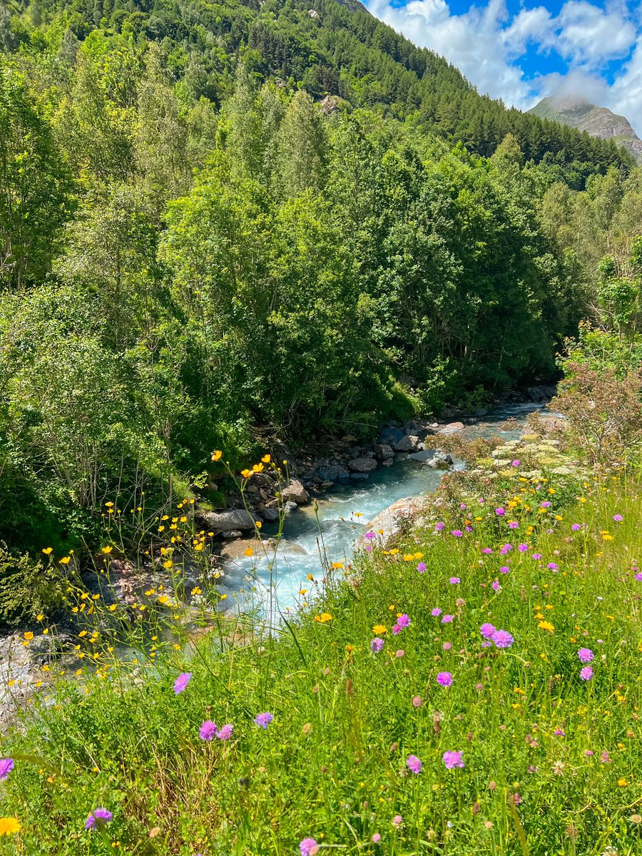 sucreroses_'s tweet photo. BUKAN DI SWISS! Ini adalah Pegunungan Pyrénées di Prancis Selatan. Pegunungan ini ada di perbatasan Prancis &amp; Spanyol. Enaknya lagi disini harga hotel &amp; restoran lebih murah daripada di Swiss. Tapi harus kuat jalan karena disini ke spot2 bagusnya tuh harus jalan &amp; hiking ✌️ https://t.co/GzOxtvuFpL