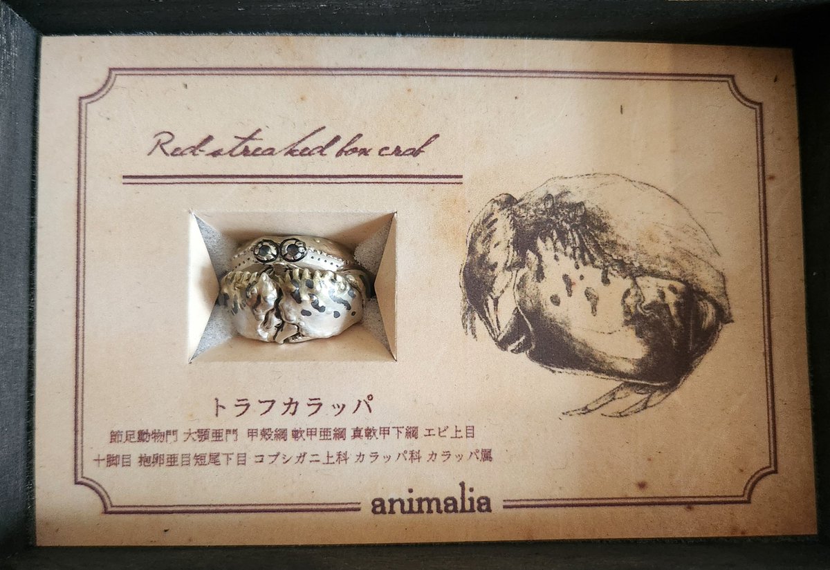 watson_toad's tweet photo. デザフェスで頼んだ指輪が届いた～💖
新作トラフカラッパ🦀
めっちゃフィット感よく、目の石もロイヤルブルームーンストーンで綺麗な青色で最高！
ハサミの裏も模様があって、見えるようになってる拘り好き🥹🫶

もう私は @Animalia925 さんなしでは生きていけない体になってしもうたな🤣

#animalia https://t.co/NO4rMt9wxG