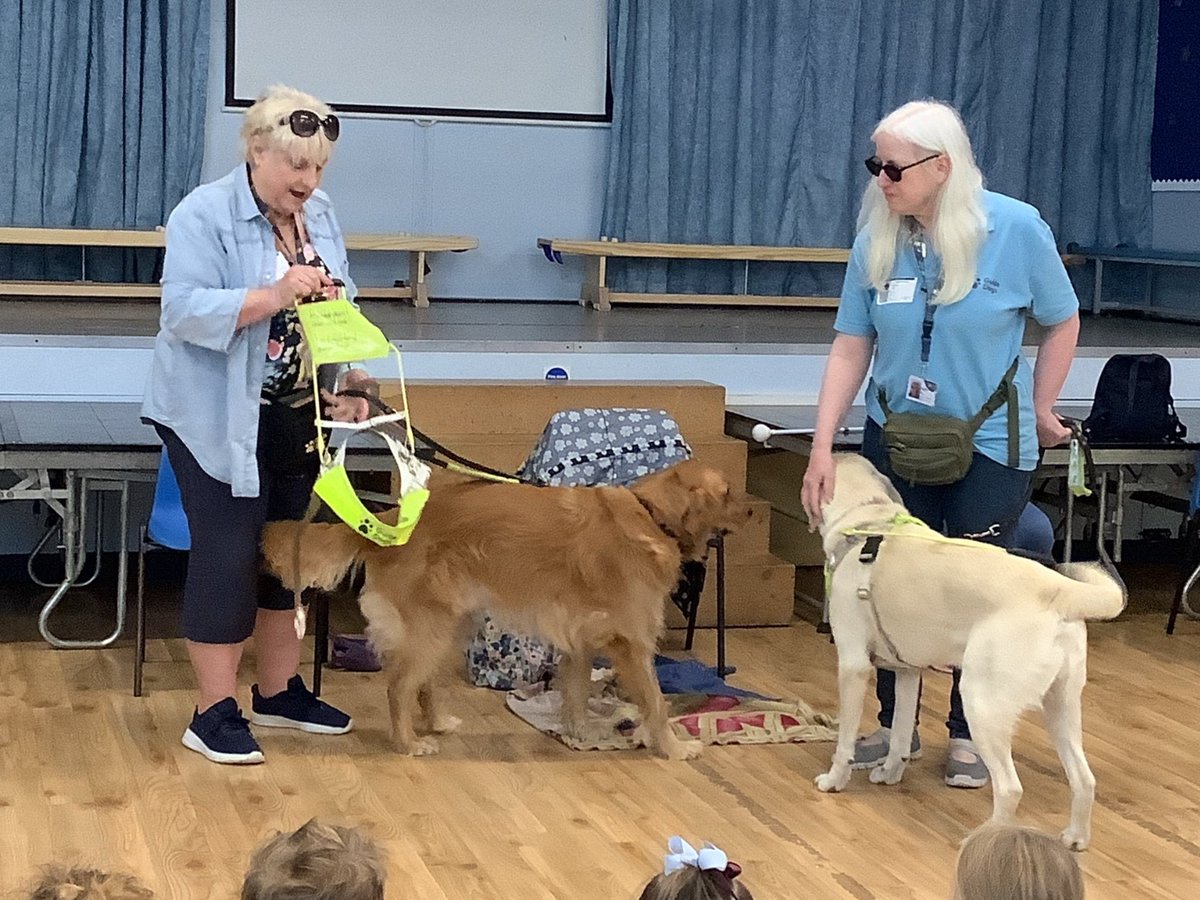 whitchurchprm's tweet image. Thank you so much to Sian and friends for bringing their guide dogs in to teach Reception children about the importance of working animals. @GuideDogsCymru #WPSRec