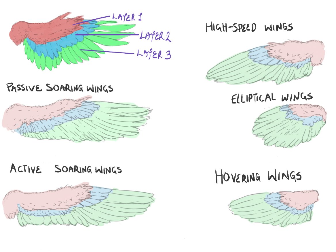 clipstudiopaint's tweet photo. Check out this month’s featured Tips "How to draw variety of wings with easy (on CSP)" by Silver prize winner Dannyyoung!
https://t.co/Kc95EdrjD7

In our monthly Tips contest, we're awarding up to US$10,000 in prize money! https://t.co/tXMXLEfw4U