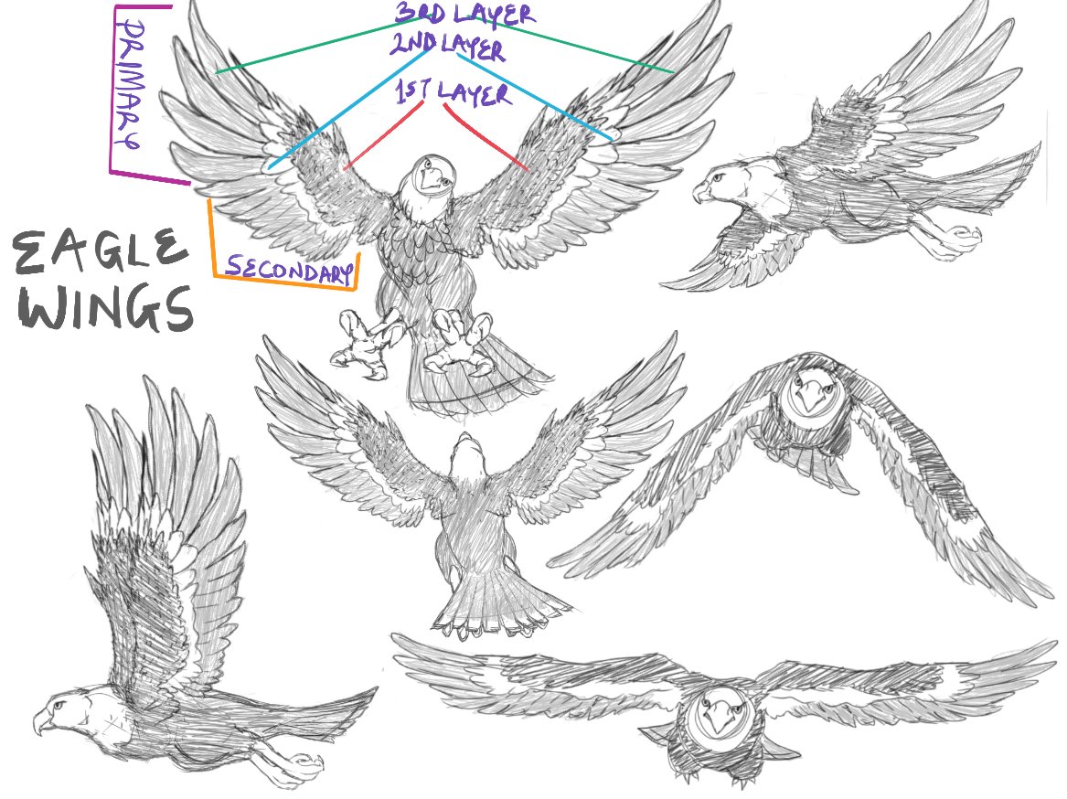 clipstudiopaint's tweet photo. Check out this month’s featured Tips "How to draw variety of wings with easy (on CSP)" by Silver prize winner Dannyyoung!
https://t.co/Kc95EdrjD7

In our monthly Tips contest, we're awarding up to US$10,000 in prize money! https://t.co/tXMXLEfw4U