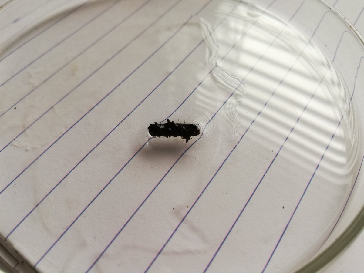 Preseli Pollen Project tweet media