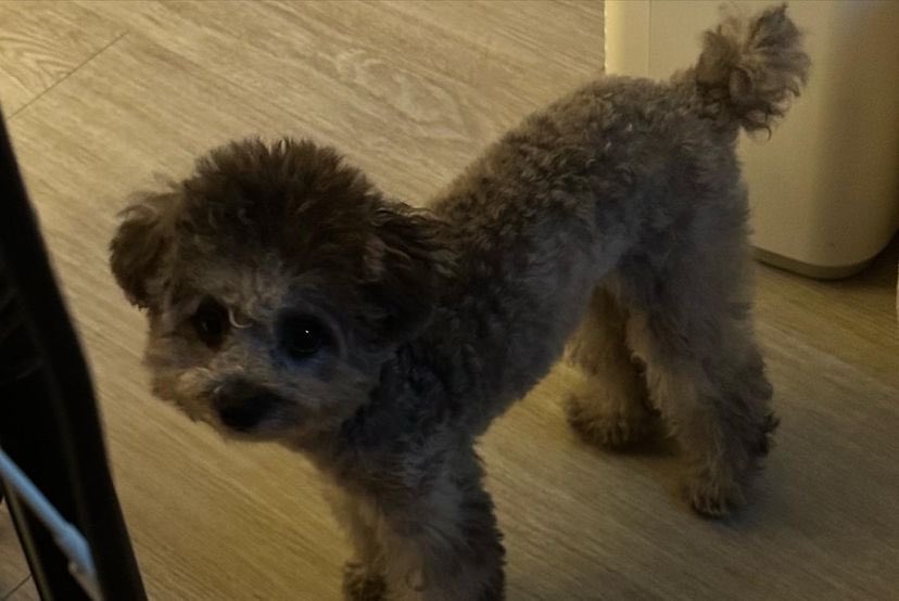 A.C.E CREAM tweet media