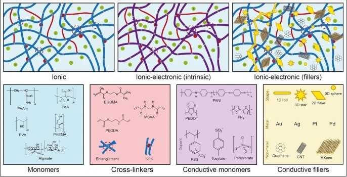 From our upcoming issue on Advanced Materials for Implantable Neuroelectronics, this #MRSBulletin article highlights recent progress in hydrogel #materials and associated technologies for implantable #bioelectronics.

loom.ly/j1nz6jE