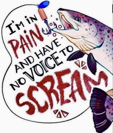 veganfuture tweet picture